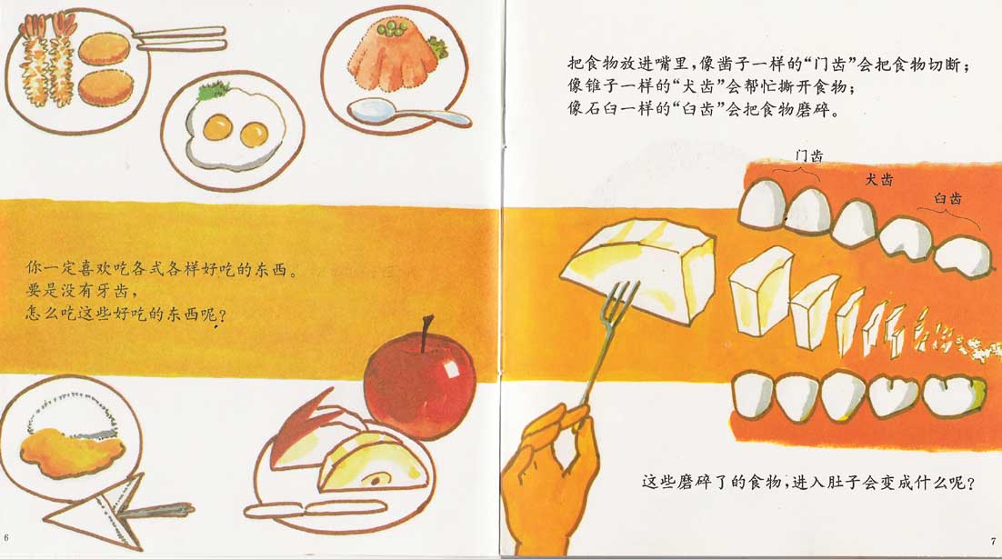 牙齿的故事 (05),绘本,绘本故事,绘本阅读,故事书,童书,图画书,课外阅读